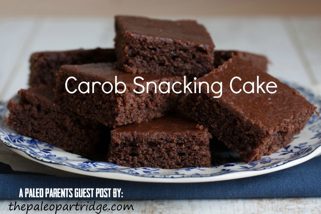 Paleo Parents Guest Post: Carob Snacking Cake, The Paleo Partridge  Autoimmune AIP Chocolate Cake